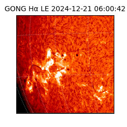 gong - 2024-12-21T06:00:42