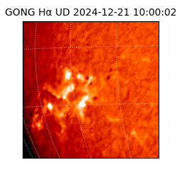 gong - 2024-12-21T10:00:02
