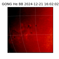 gong - 2024-12-21T16:02:02