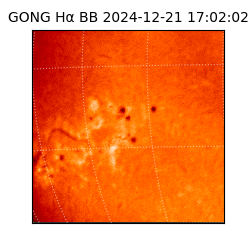 gong - 2024-12-21T17:02:02