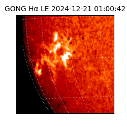 gong - 2024-12-21T01:00:42