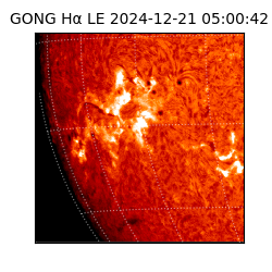 gong - 2024-12-21T05:00:42