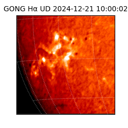 gong - 2024-12-21T10:00:02
