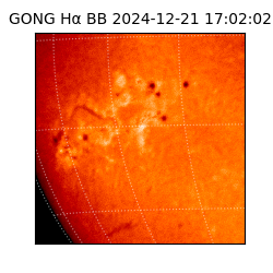 gong - 2024-12-21T17:02:02