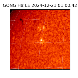 gong - 2024-12-21T01:00:42