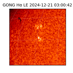 gong - 2024-12-21T03:00:42