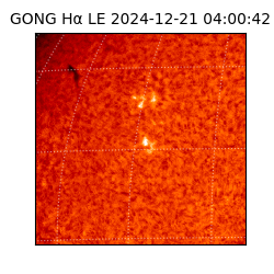 gong - 2024-12-21T04:00:42