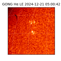 gong - 2024-12-21T05:00:42