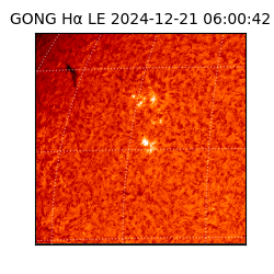 gong - 2024-12-21T06:00:42