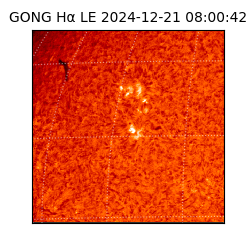 gong - 2024-12-21T08:00:42