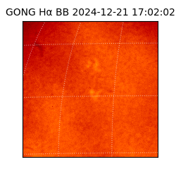 gong - 2024-12-21T17:02:02