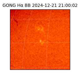 gong - 2024-12-21T21:00:02