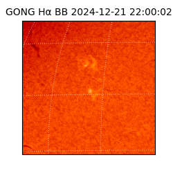 gong - 2024-12-21T22:00:02