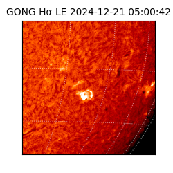 gong - 2024-12-21T05:00:42