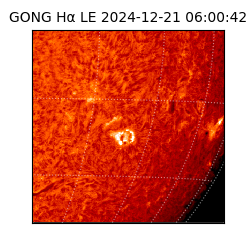 gong - 2024-12-21T06:00:42