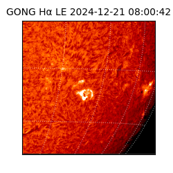 gong - 2024-12-21T08:00:42