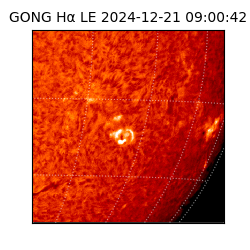 gong - 2024-12-21T09:00:42