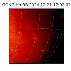 gong - 2024-12-21T17:02:02