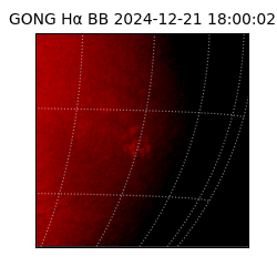 gong - 2024-12-21T18:00:02