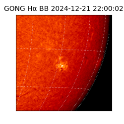 gong - 2024-12-21T22:00:02