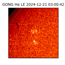 gong - 2024-12-21T03:00:42