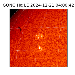 gong - 2024-12-21T04:00:42