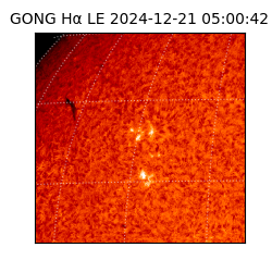 gong - 2024-12-21T05:00:42