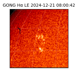 gong - 2024-12-21T08:00:42