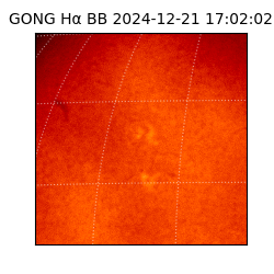 gong - 2024-12-21T17:02:02