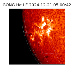 gong - 2024-12-21T05:00:42