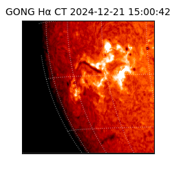 gong - 2024-12-21T15:00:42