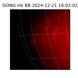 gong - 2024-12-21T16:02:02