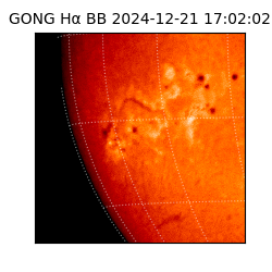 gong - 2024-12-21T17:02:02