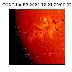 gong - 2024-12-21T20:00:02