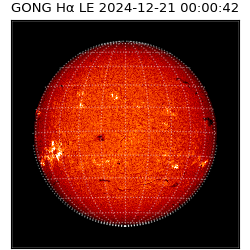 gong - 2024-12-21T00:00:42