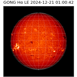 gong - 2024-12-21T01:00:42