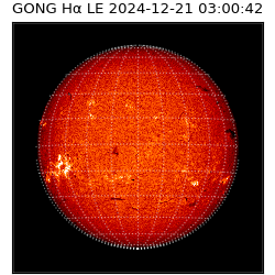 gong - 2024-12-21T03:00:42