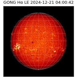 gong - 2024-12-21T04:00:42