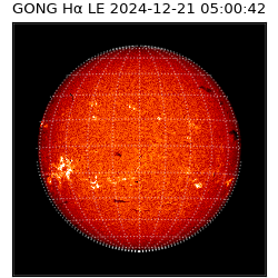 gong - 2024-12-21T05:00:42