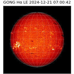 gong - 2024-12-21T07:00:42