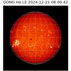 gong - 2024-12-21T08:00:42