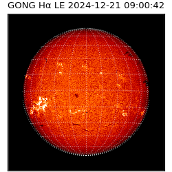 gong - 2024-12-21T09:00:42