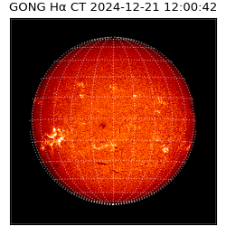 gong - 2024-12-21T12:00:42