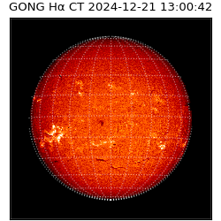 gong - 2024-12-21T13:00:42