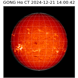 gong - 2024-12-21T14:00:42