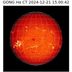 gong - 2024-12-21T15:00:42