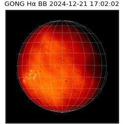 gong - 2024-12-21T17:02:02