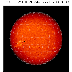 gong - 2024-12-21T23:00:02