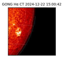 gong - 2024-12-22T15:00:42