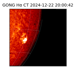 gong - 2024-12-22T20:00:42